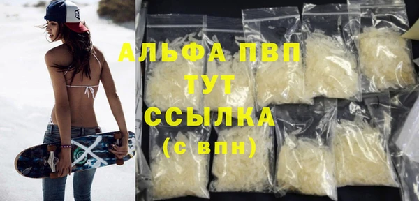 шишки Новозыбков