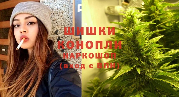 СК Няндома