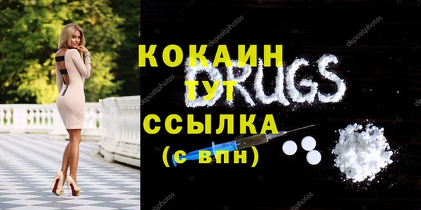 СК Няндома