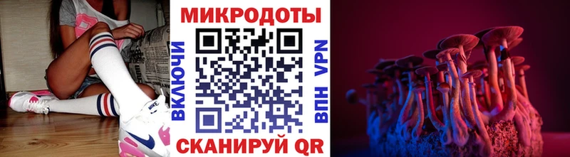 Псилоцибиновые грибы Psilocybine cubensis  Протвино 