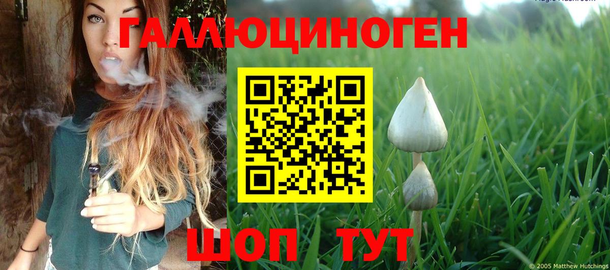 Псилоцибиновые грибы Magic Shrooms Протвино